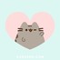 Pusheen_cat / Пушин