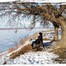 Алена