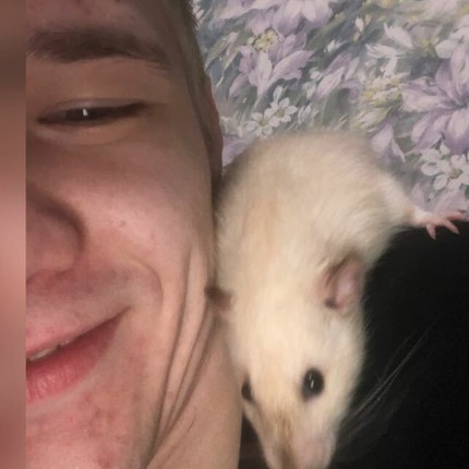 Скрипка Павел