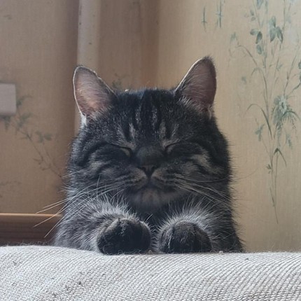 Полина