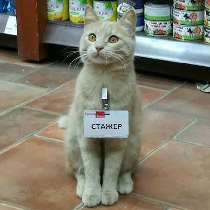 Саня