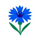 Великие Васильки 🌸