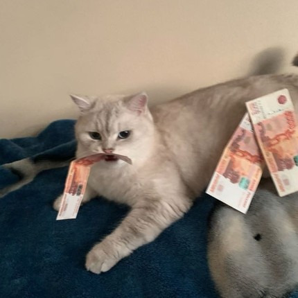 Дмитрий