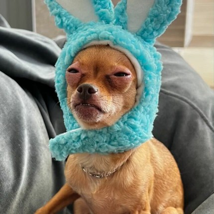 Михаил