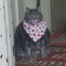 Александр