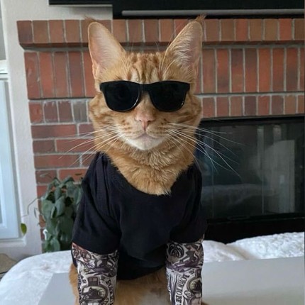 Дмитрий