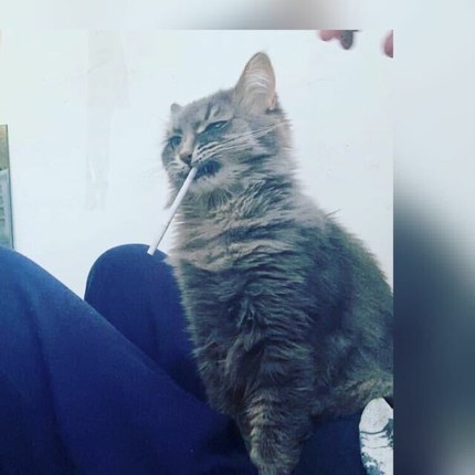 Андрей