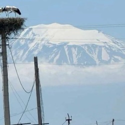 Артём