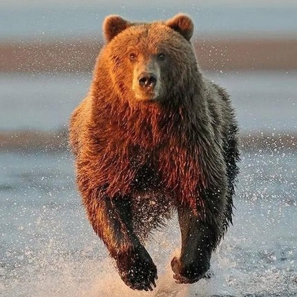 Александр