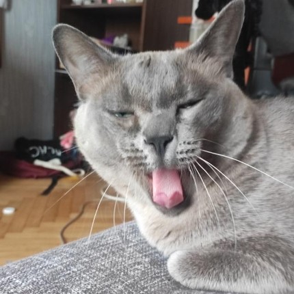 Анна